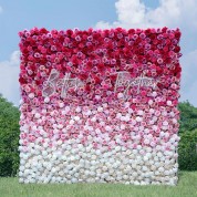 Amber Scholl Flower Wall